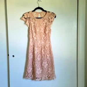 BCBG Blush Lace Dress